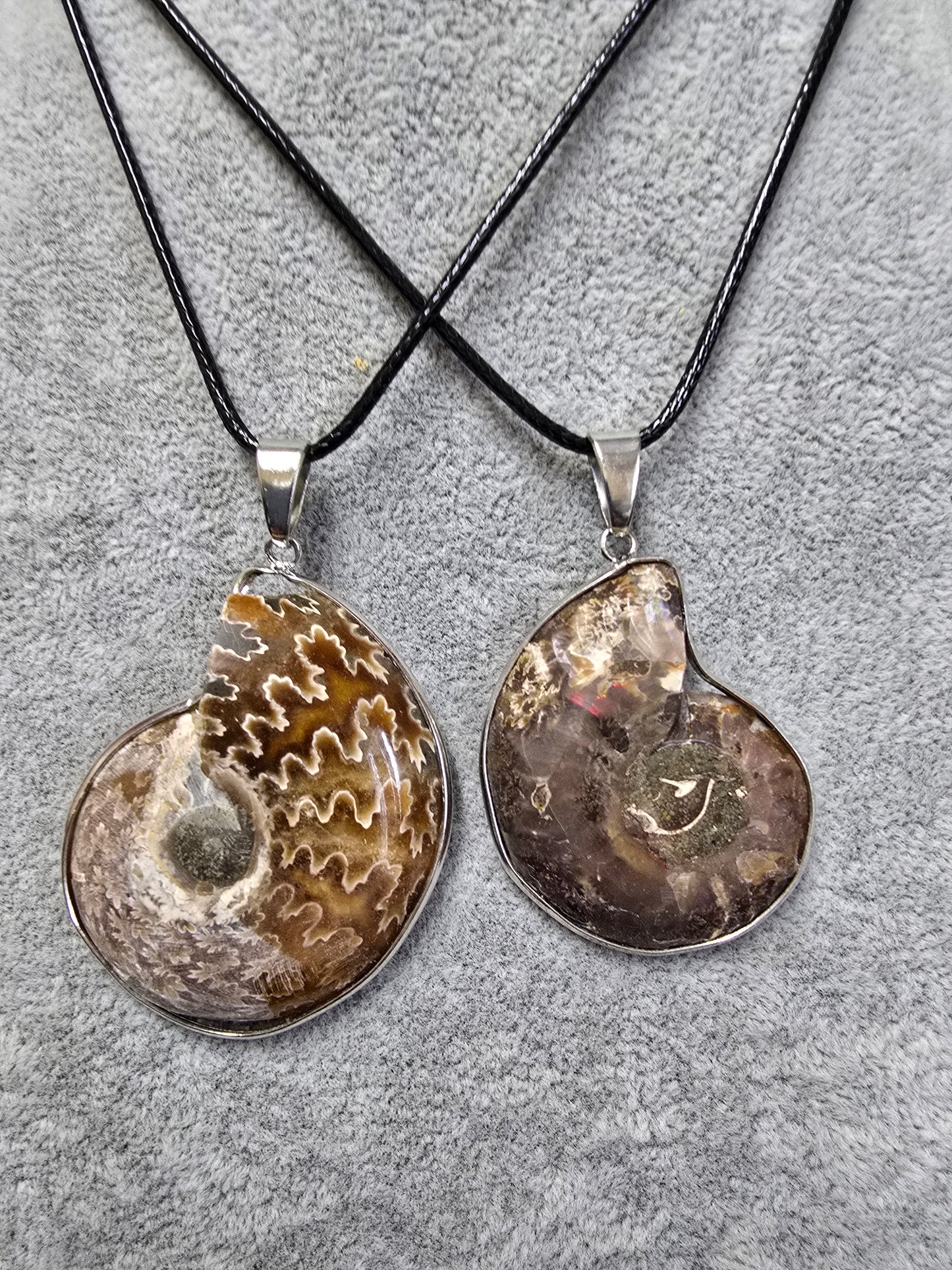 Handcrafted Mollusk Necklace – Unique Natural Shell Jewelry