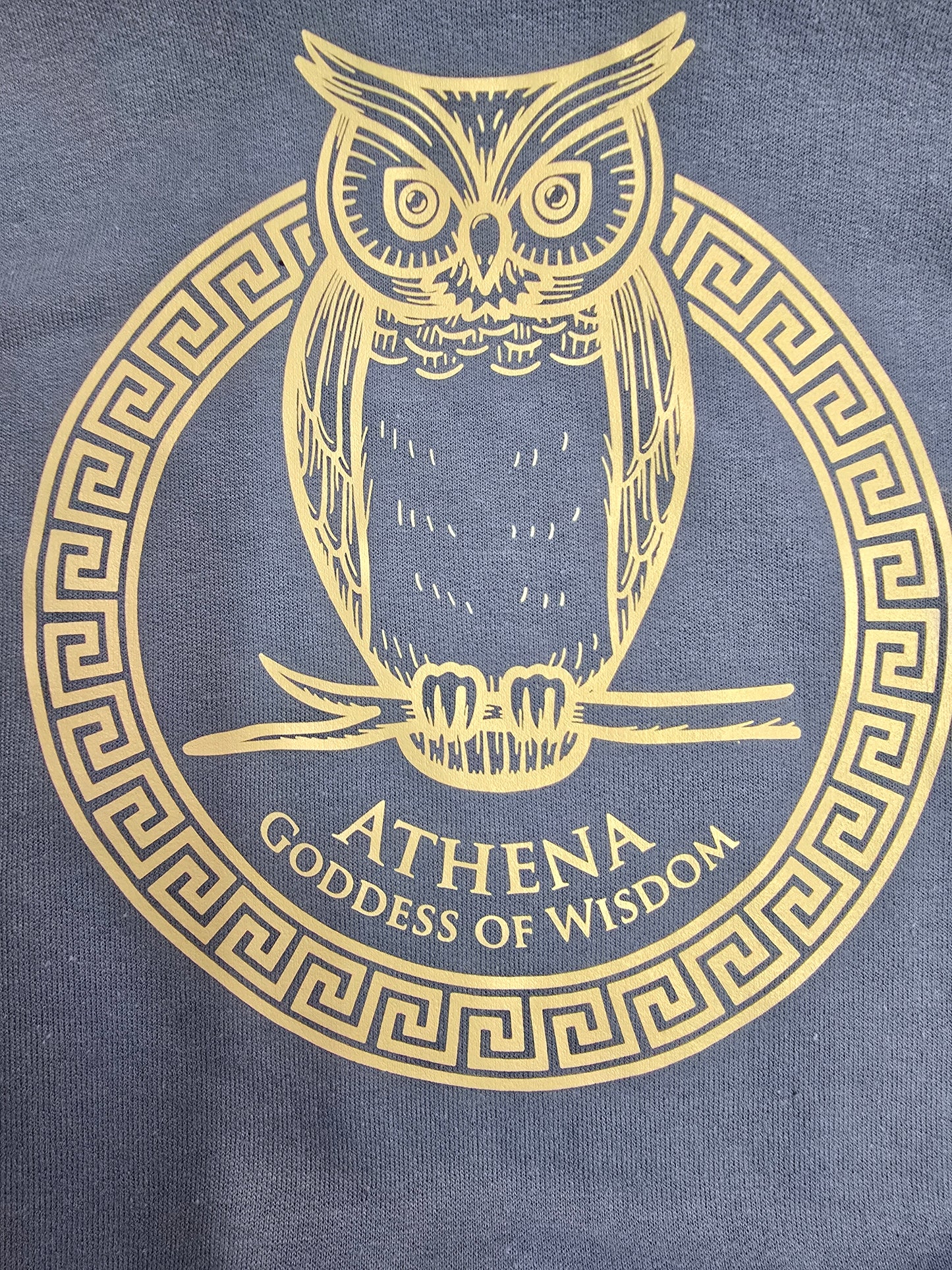 Greek Mythology Owl Tee – Carolina Blue