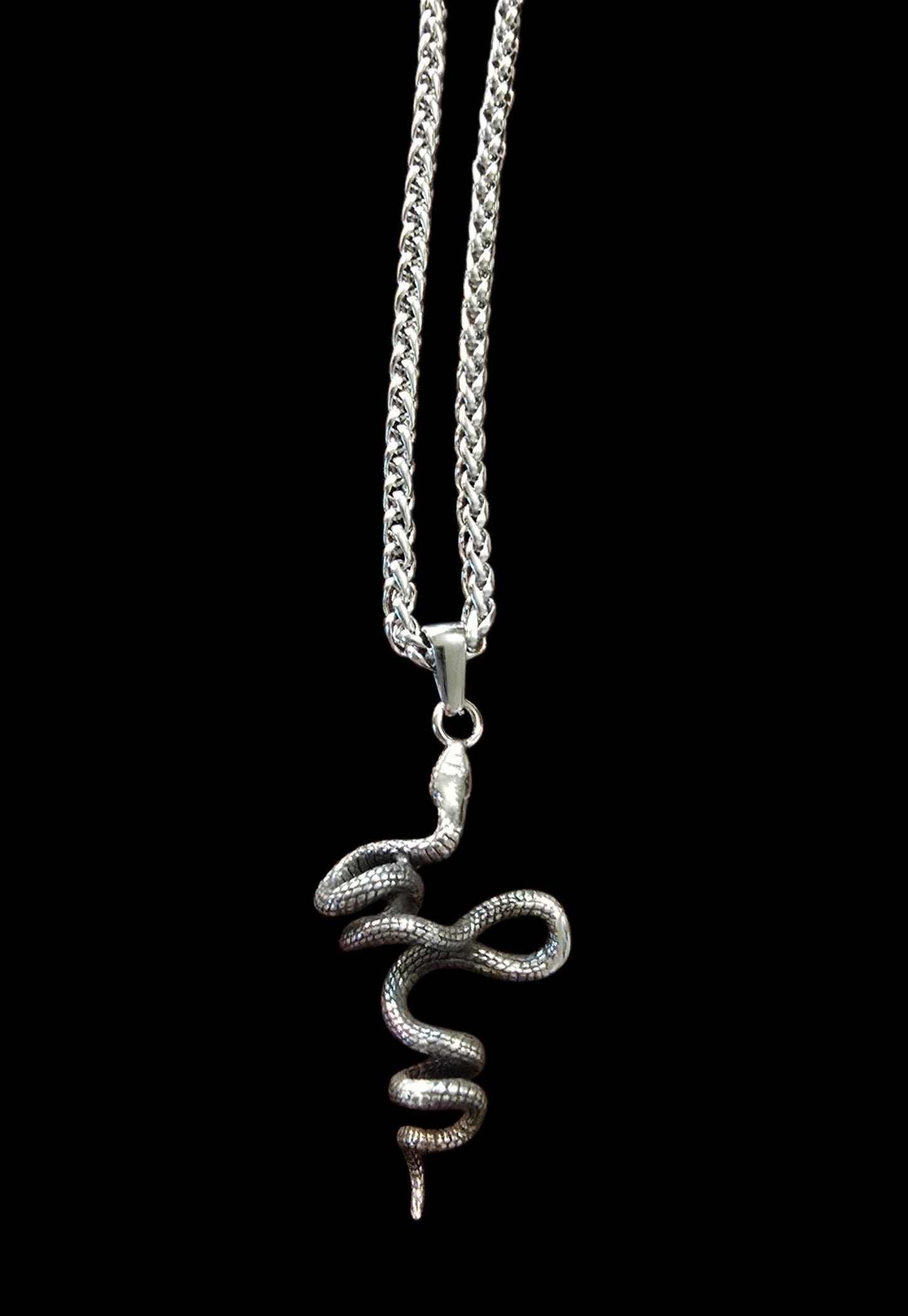 Stainless Steel Serpent Necklace