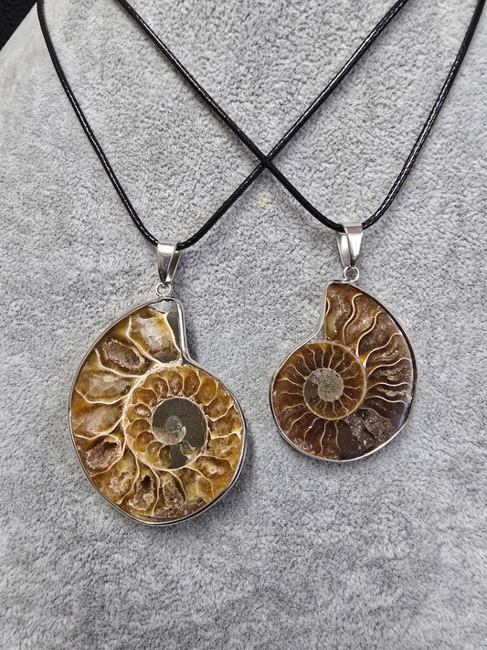 Handcrafted Mollusk Necklace – Unique Natural Shell Jewelry